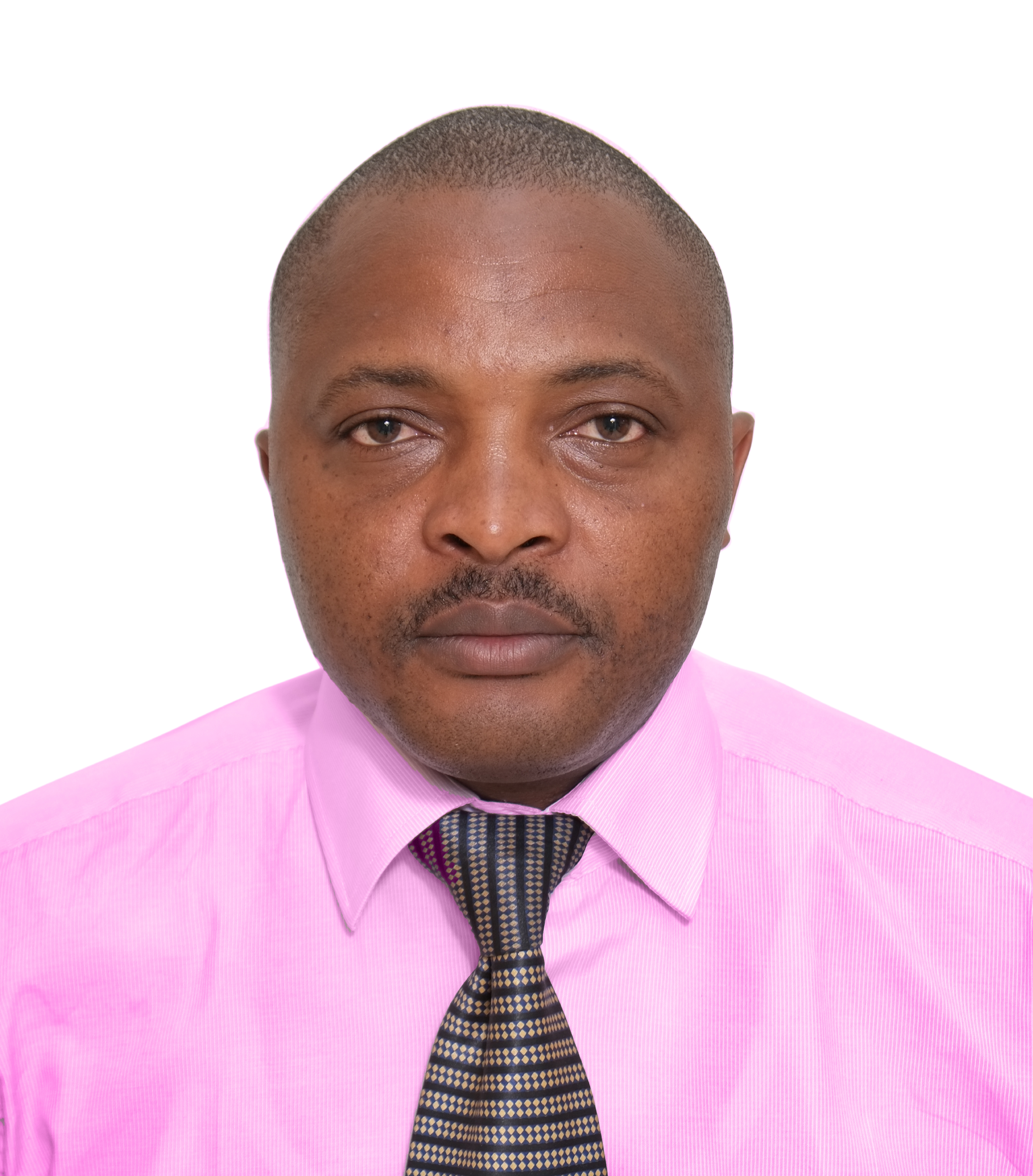 CEO Profile